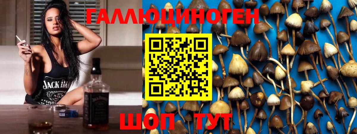 Галлюциногенные грибы Моздок